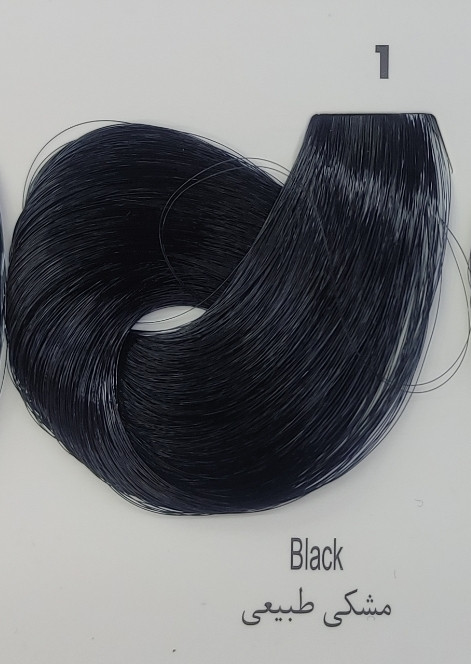 رنگ موی ریتون n1