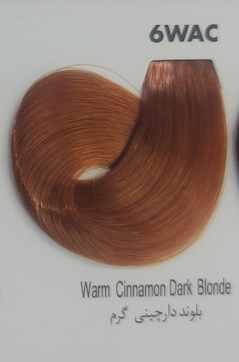 رنگ ریتون بلوند دارچینی گرم